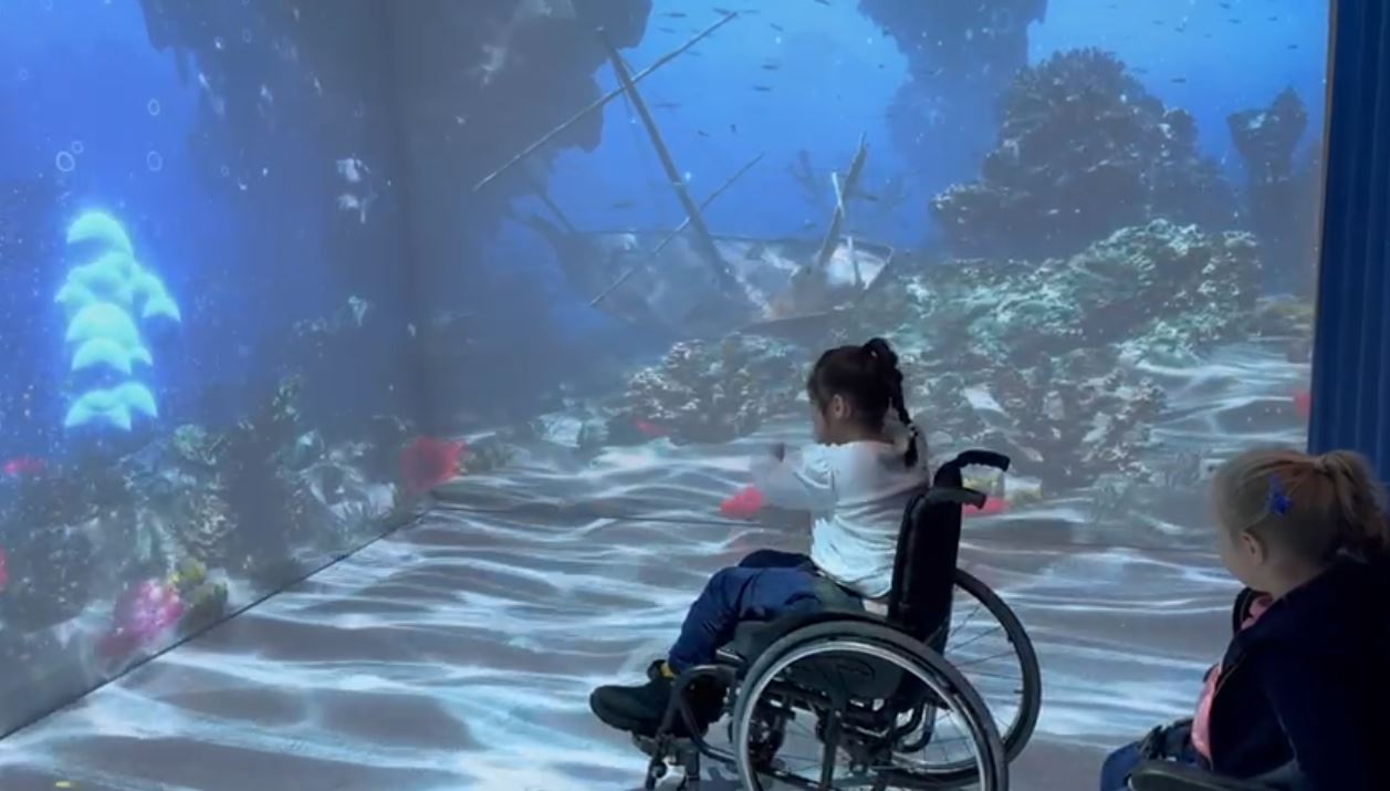 Beta Utensili Power Tool