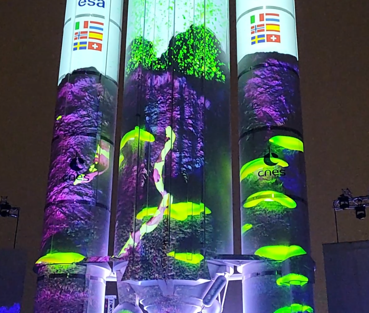 360-degree camera in vineyard