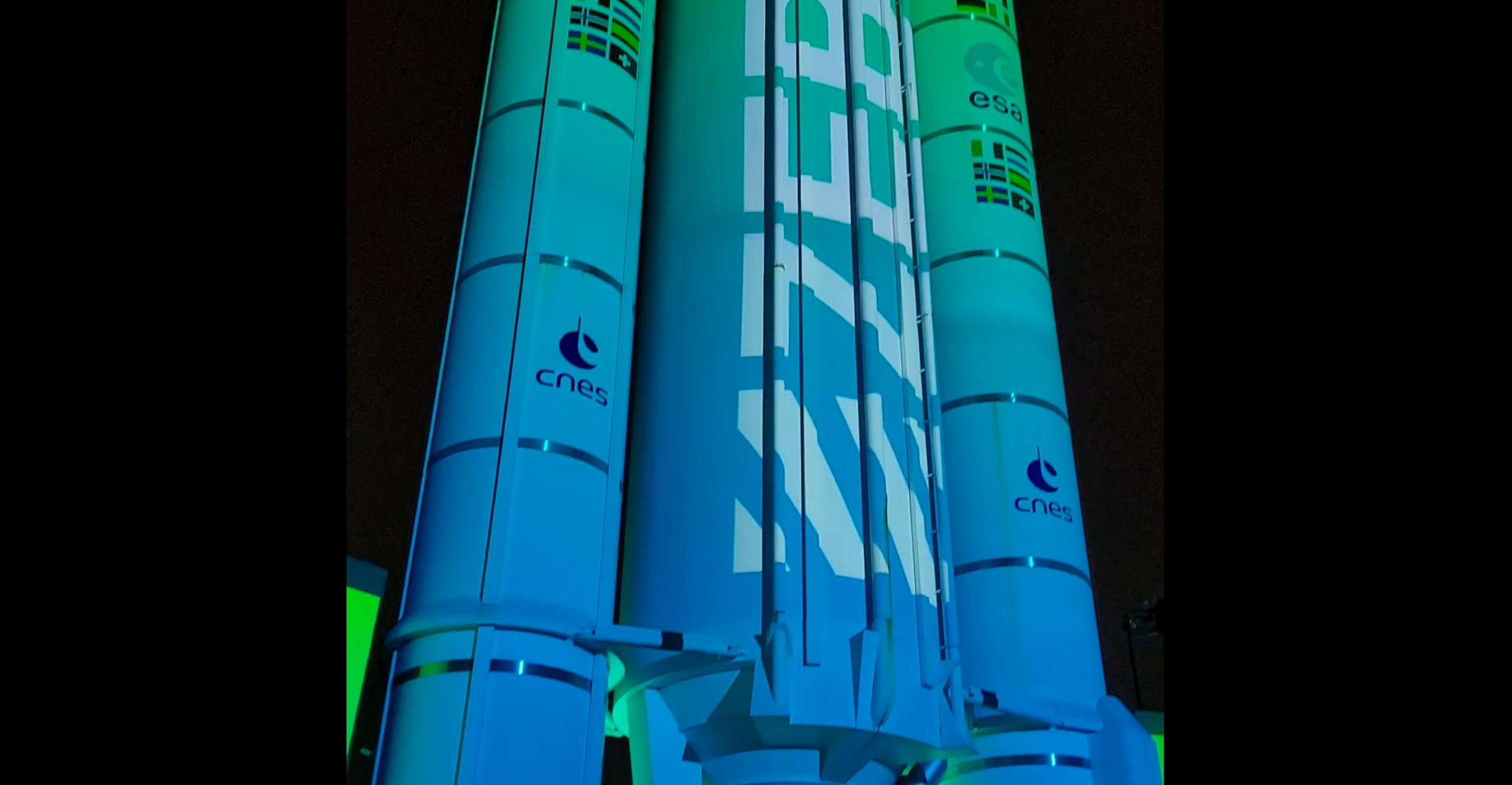 Purple grapes on vine