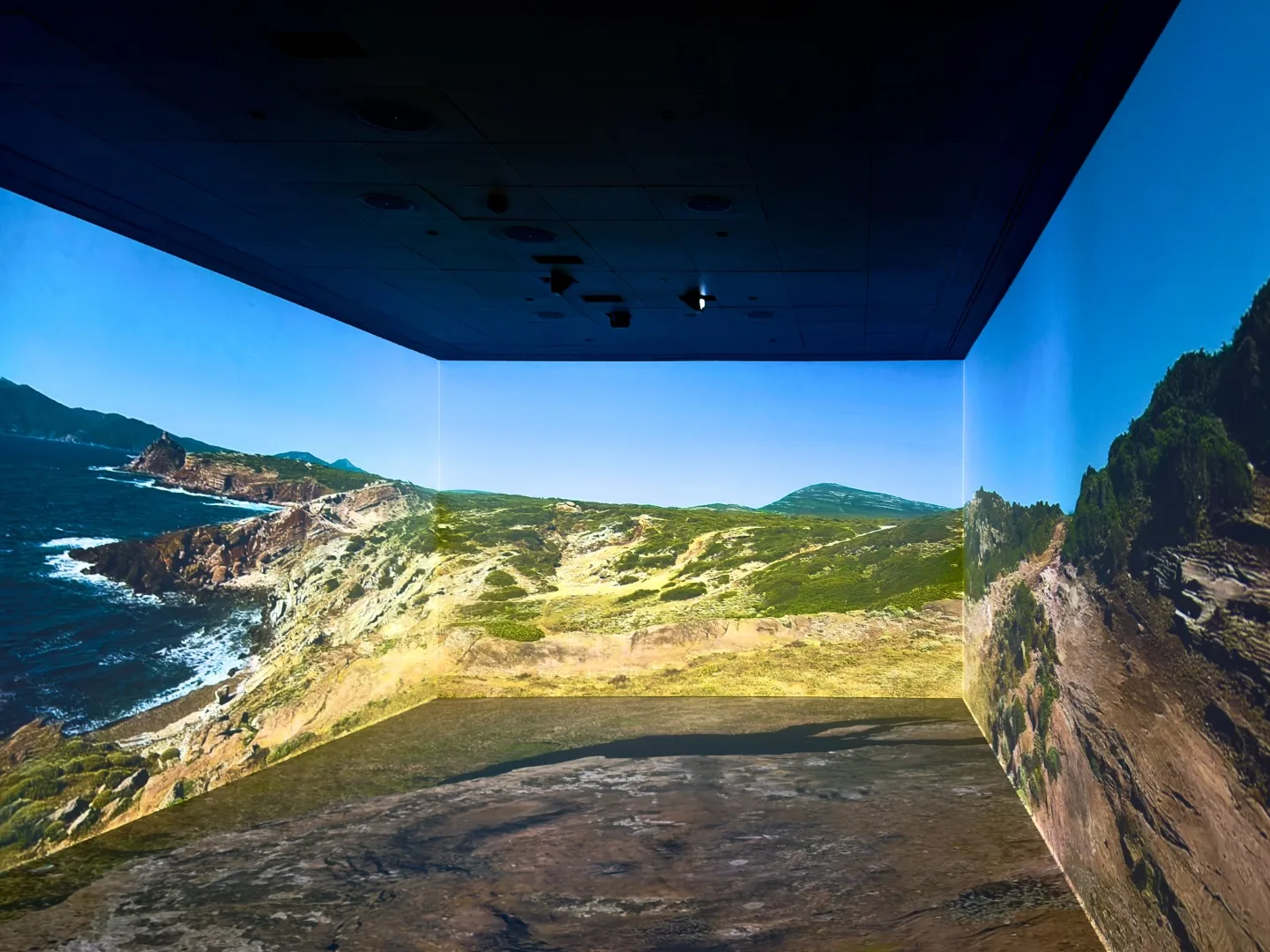 Immersive storytelling environment with panoramic visual content