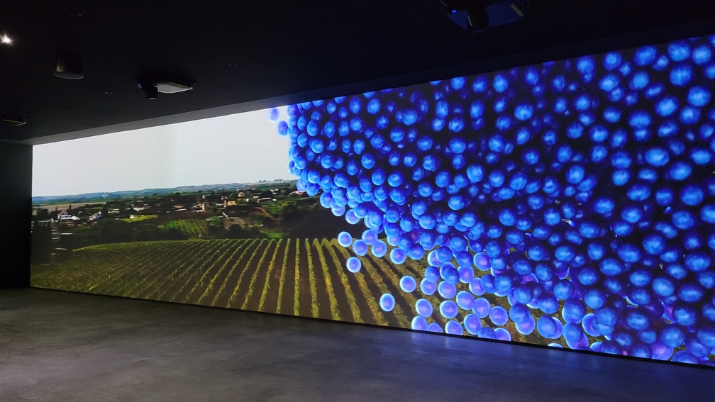 Drone controller with smartphone