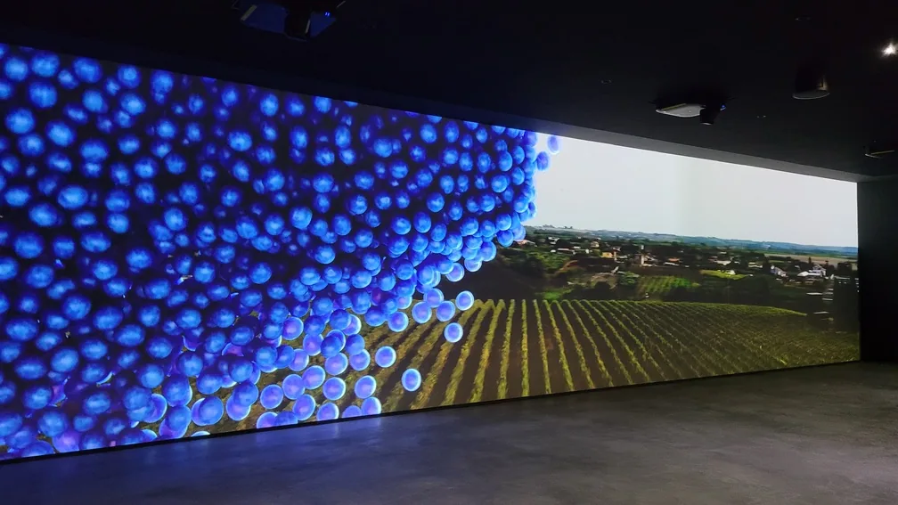 Immersive storytelling environment with panoramic visual content