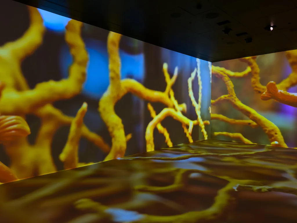 Immersive storytelling environment with panoramic visual content
