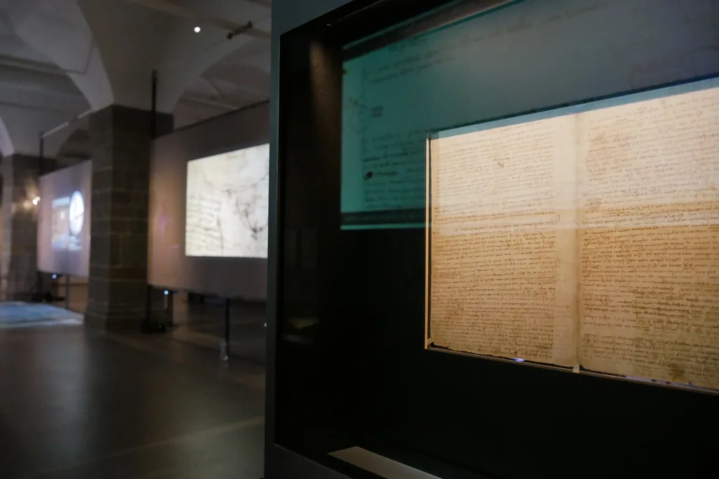 Immersive installation for museum